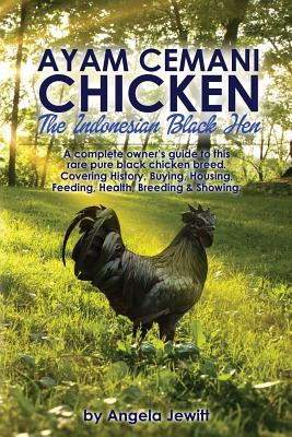 Ayam Cemani Chicken - The Indonesian Black Hen. A complete owner's guide to this rare pure black chicken breed. Covering History, Buying, Housing, Fee Cover Image