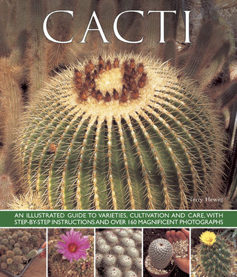 Cacti: An Illustrated Guide to Varieties, Cultivation and Care, with Step-By-Step Instructions and Over 160 Magnificent Photo By Terry Hewitt Cover Image
