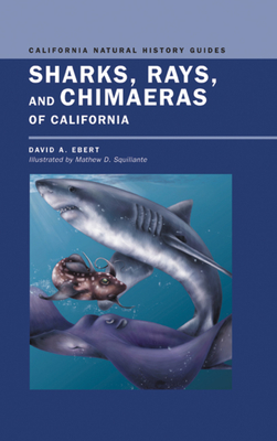 Sharks, Rays, and Chimaeras of California (California Natural History Guides #71) By David Ebert, Mathew D. Squillante (Illustrator) Cover Image