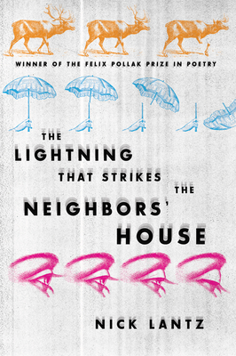Cover for The Lightning That Strikes the Neighbors’ House (Wisconsin Poetry Series)