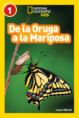 National Geographic Readers: De la Oruga a la Mariposa (Caterpillar to Butterfly) By Laura Marsh Cover Image