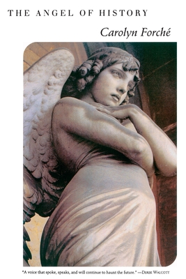 The Angel of History Cover Image