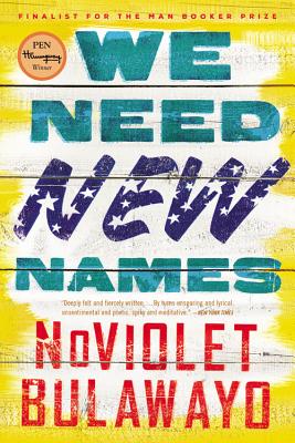 Cover Image for We Need New Names