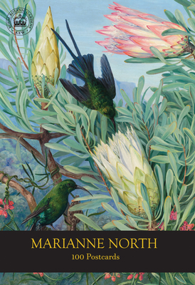 Marianne North 100 Postcards Cover Image
