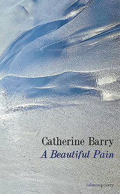A Beautiful Pain By Catherine Barry Cover Image