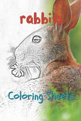 Rabbit Coloring Sheets: 30 Rabbit Drawings, Coloring Sheets Adults Relaxation, Coloring Book for Kids, for Girls, Volume 4 By Julian Smith Cover Image