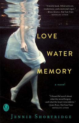 Cover for Love Water Memory