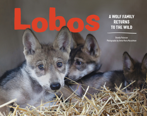 Lobos: A Wolf Family Returns to the Wild Cover Image