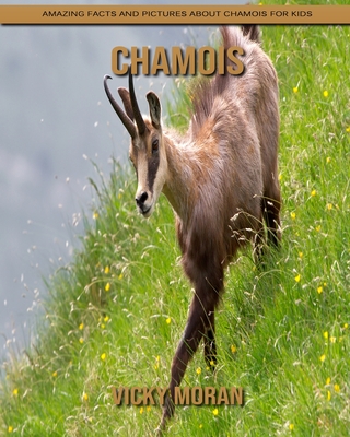 Facts about the Chamois