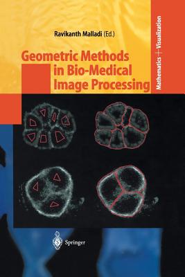 Geometric Methods in Bio-Medical Image Processing (Mathematics and Visualization) Cover Image
