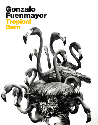 Gonzalo Fuenmayor: Tropical Burn Cover Image