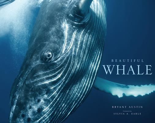 Beautiful Whale By Bryant Austin, Sylvia A. Earle (Introduction by) Cover Image