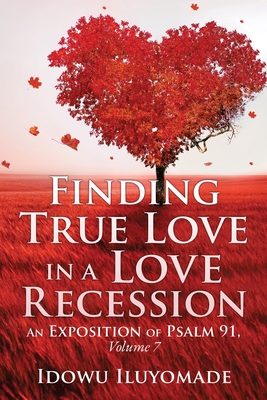 Finding True Love in a Love Recession Finding True Love in a Love Recession cover