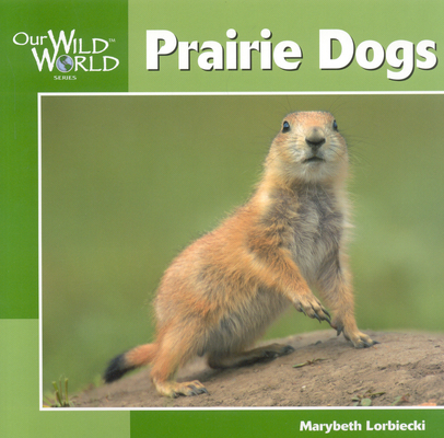 Prairie Dogs (Our Wild World) By Marybeth Lorbiecki Cover Image