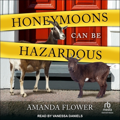 Honeymoons Can Be Hazardous (Amish Matchmaker Mysteries #4)