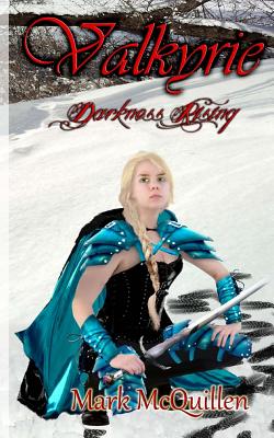 Cover for Valkyrie: Darkness Rising