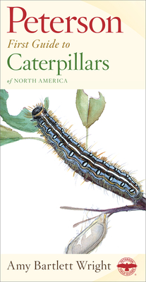 Peterson First Guide To Caterpillars Of North America By Amy Bartlett Wright, Roger Tory Peterson Cover Image