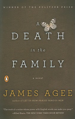 Cover for A Death in the Family