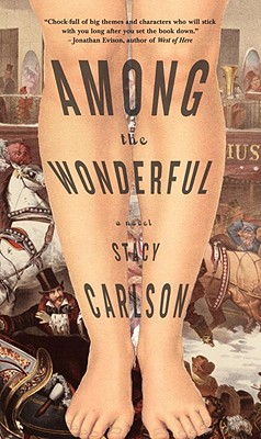 Cover Image for Among the Wonderful
