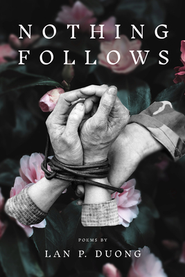 Nothing Follows Cover Image