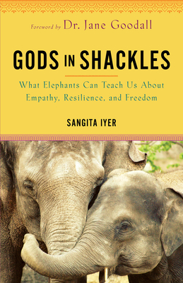 Gods in Shackles: What Elephants Can Teach Us About Empathy, Resilience, and Freedom By Sangita Iyer Cover Image