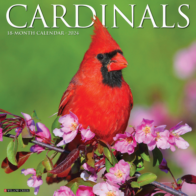 Cardinals 2024 12 X 12 Wall Calendar By Willow Creek Press Cover Image
