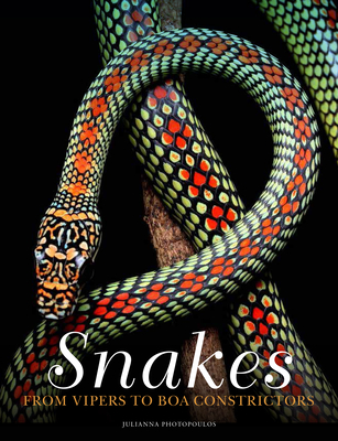 Snakes: From Vipers to Boa Constrictors By Julianna Photopoulos Cover Image