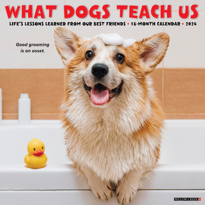 What Dogs Teach Us 2024 12 X 12 Wall Calendar Cover Image