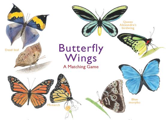 Butterfly Wings: A Matching Game By Christine Berrie (Illustrator) Cover Image