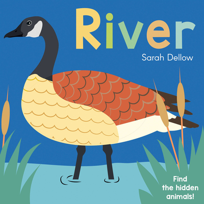 Now You See It! River By Sarah Dellow Cover Image