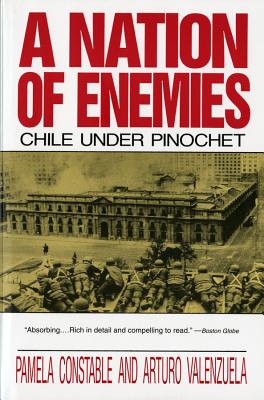 A Nation of Enemies: Chile Under Pinochet Cover Image