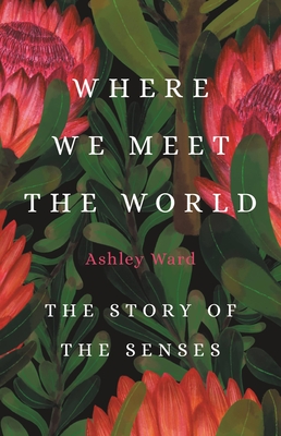 Where We Meet the World: The Story of the Senses By Ashley Ward Cover Image
