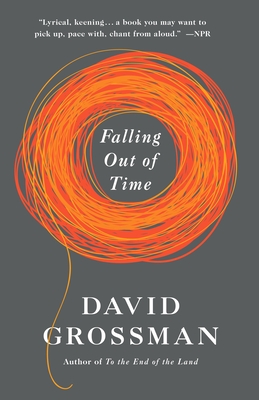 Falling Out of Time (Vintage International) By David Grossman Cover Image