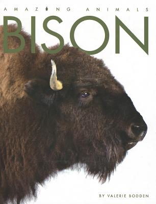 Bison (Amazing Animals (Creative Education Hardcover))