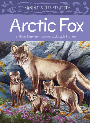 Animals Illustrated: Arctic Fox Cover Image