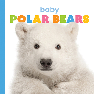 Baby Polar Bears (Starting Out) Cover Image