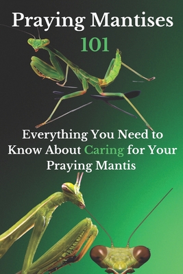 Praying Mantises 101: Everything You Need to Know About Caring for Your Praying Mantis Cover Image