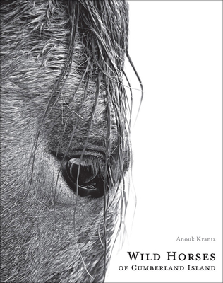 Wild Horses of Cumberland Island By Anouk Masson Krantz, Oliver Ferguson (Foreword by) Cover Image