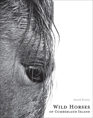 Wild Horses of Cumberland Island Cover Image