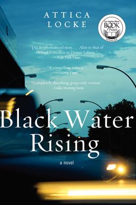 Cover Image for Black Water Rising