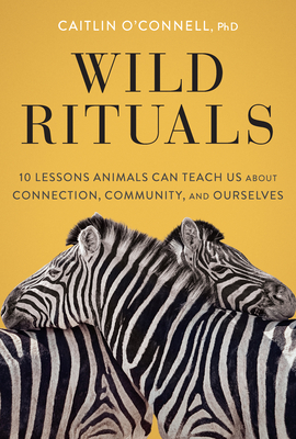 Wild Rituals: 10 Lessons Animals Can Teach Us About Connection, Community, and Ourselves By Caitlin O'Connell Cover Image