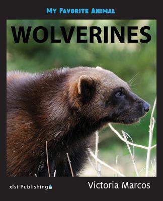 My Favorite Animal: Wolverines By Victoria Marcos Cover Image