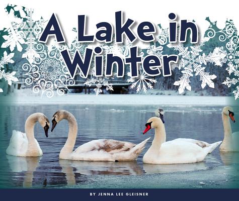 A Lake in Winter By Jenna Lee Gleisner Cover Image
