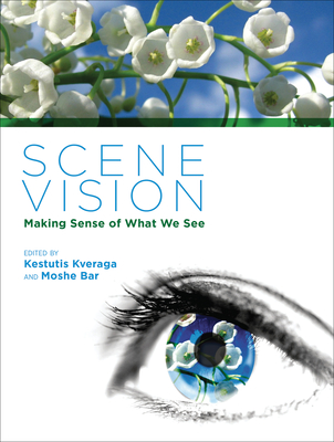 Scene Vision: Making Sense of What We See