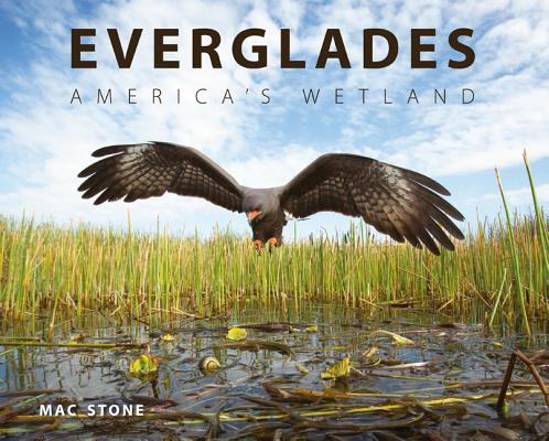 Everglades: America's Wetland By Mac Stone, Michael Grunwald (Foreword by) Cover Image