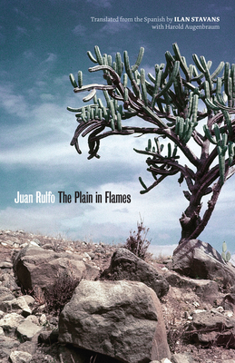 The Plain in Flames Cover Image