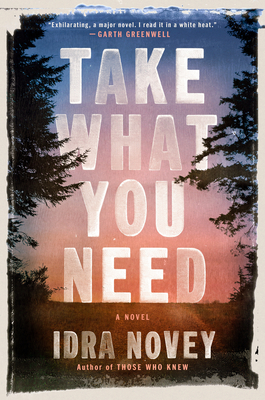 Take What You Need: A Novel By Idra Novey Cover Image