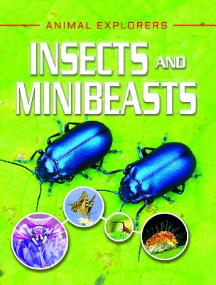 Insects and Minibeasts (Animal Explorers)