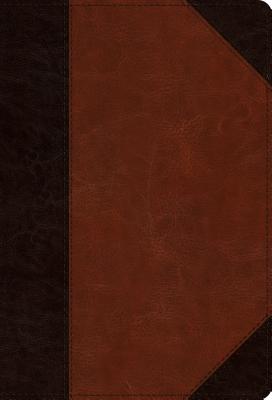 ESV Large Print Compact Bible (Trutone, Brown/Cordovan, Portfolio Design)  Cover Image
