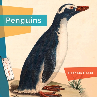 Penguins By Rachael Hanel Cover Image